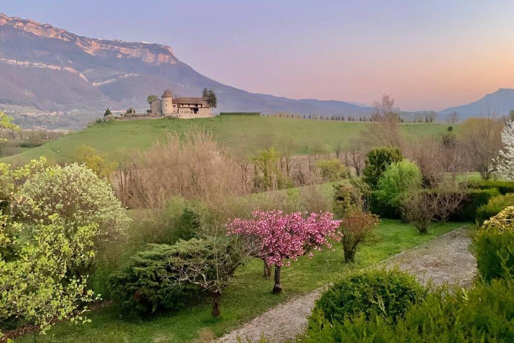Au Calme Avec Vue Magnifique A Saint Maximin Appartement Buitenkant foto