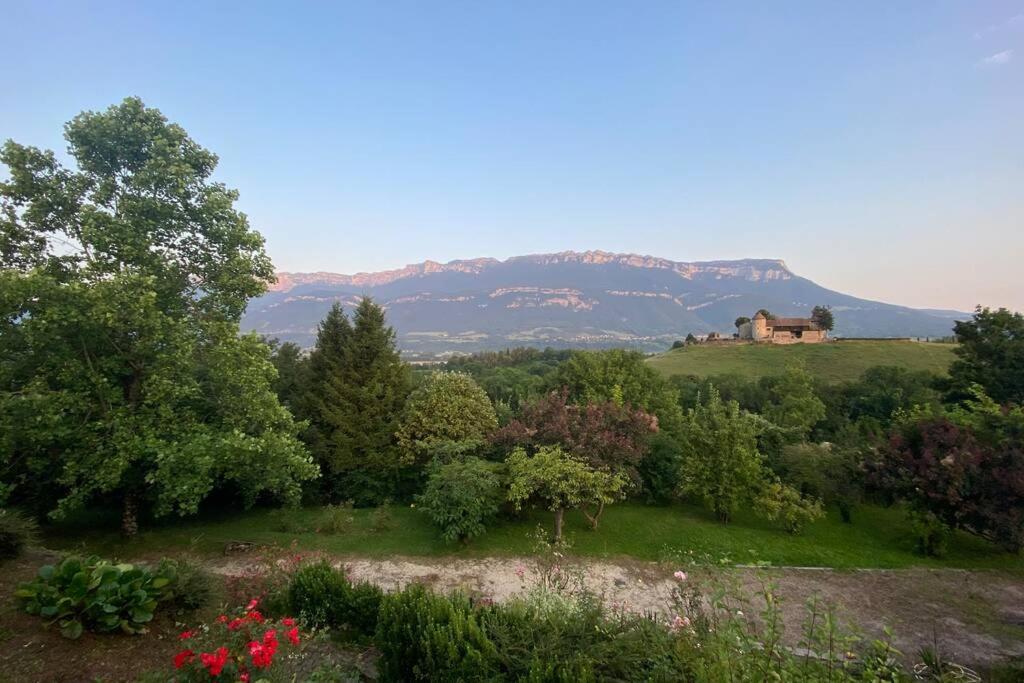Au Calme Avec Vue Magnifique A Saint Maximin Appartement Buitenkant foto