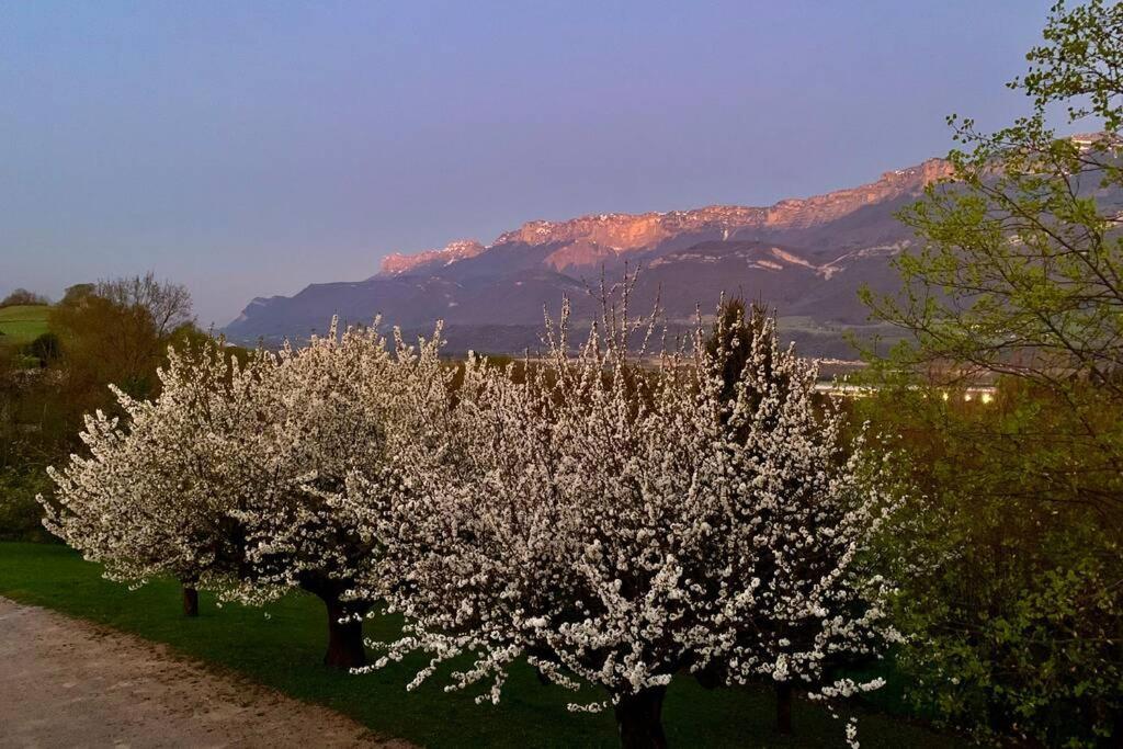 Au Calme Avec Vue Magnifique A Saint Maximin Appartement Buitenkant foto